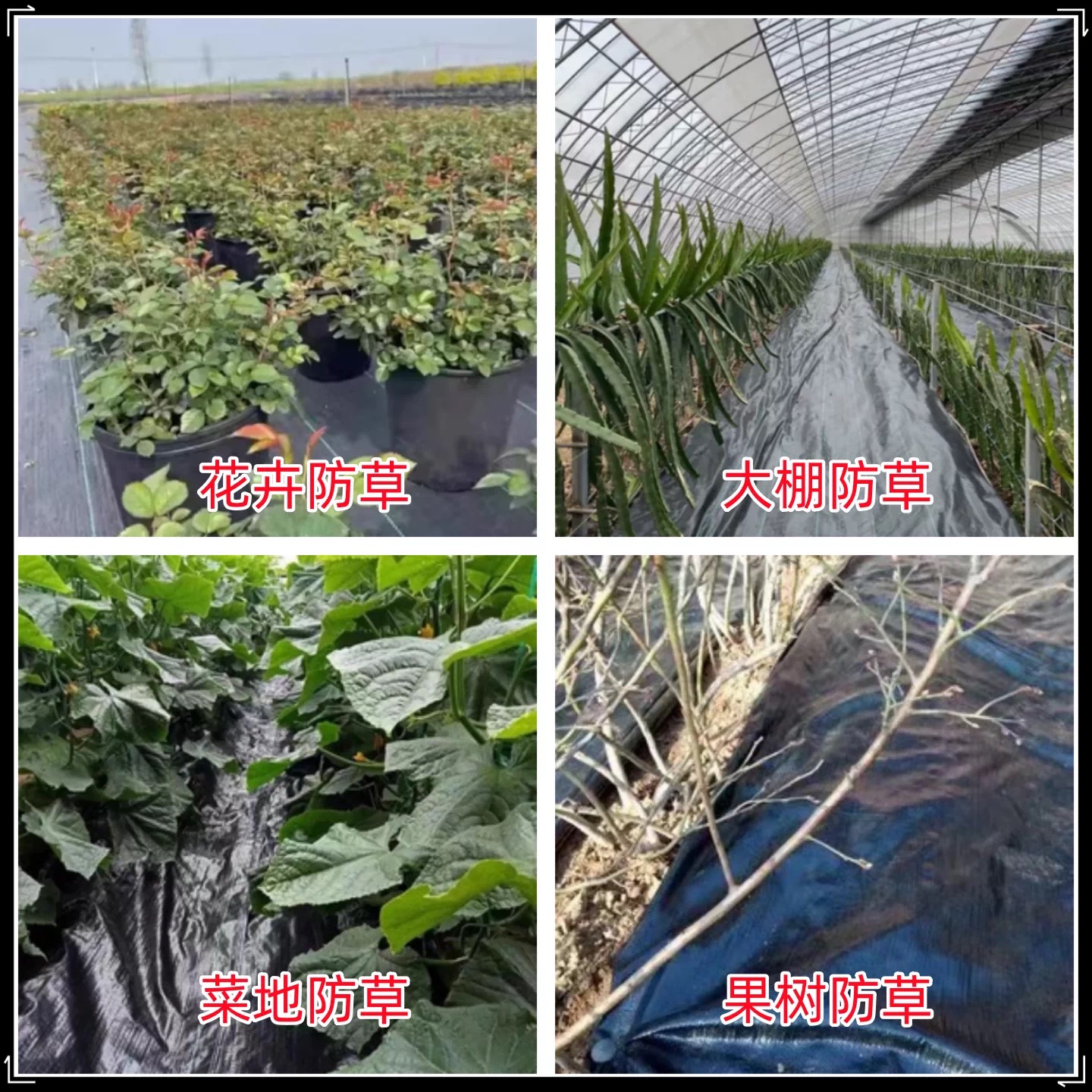 鹰潭市果树反光膜防草布 - 厂家