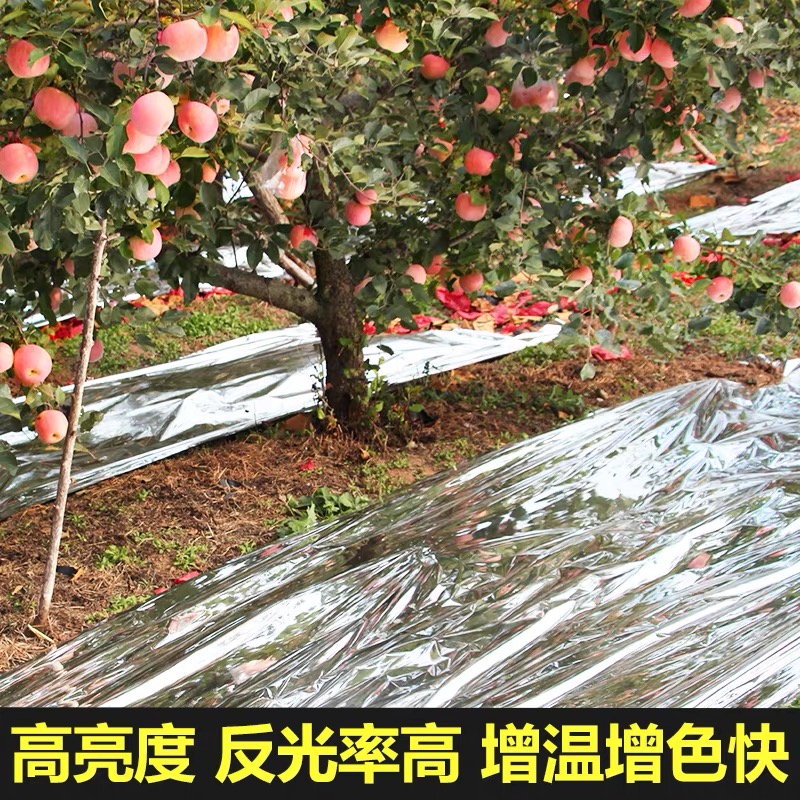 鹰潭市工程膜果树反光膜 - 方案